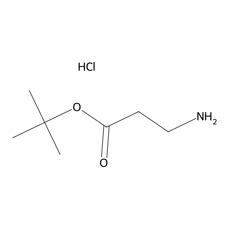 tert-Butyl 3-aminopropanoate hydrochloride