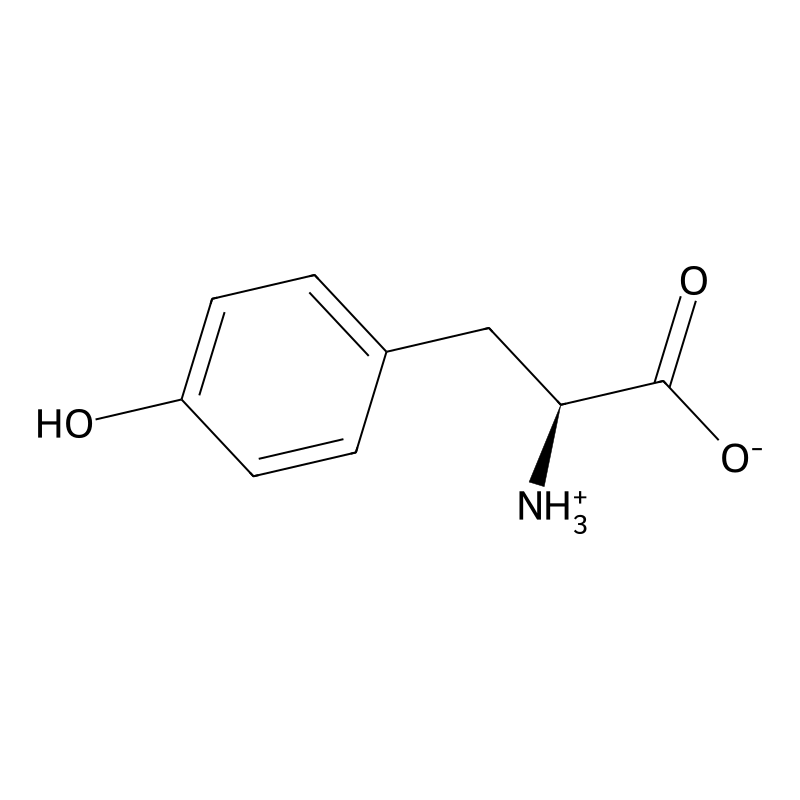 DL-Tyrosine