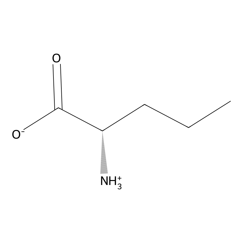 L-Norvaline