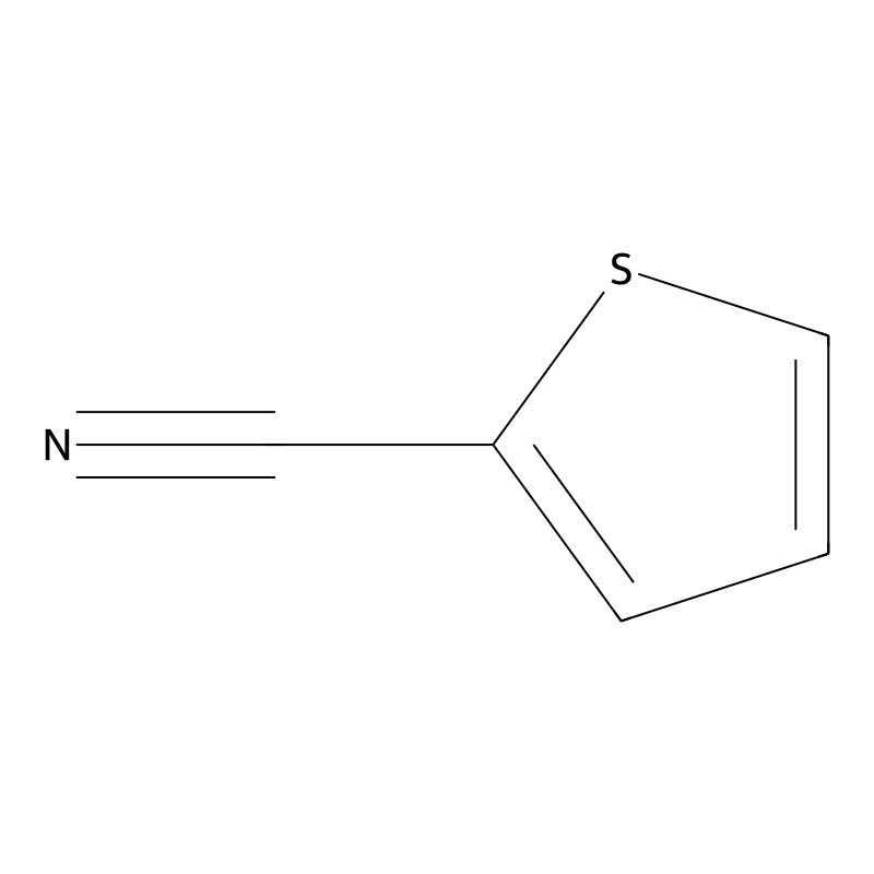 2-Thiophenecarbonitrile