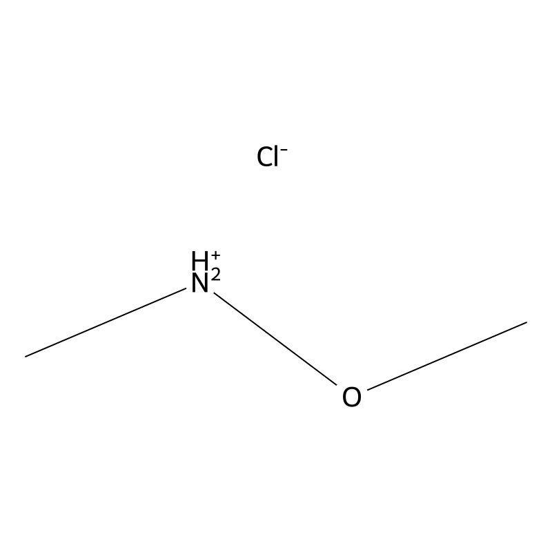 N,O-Dimethylhydroxylamine hydrochloride