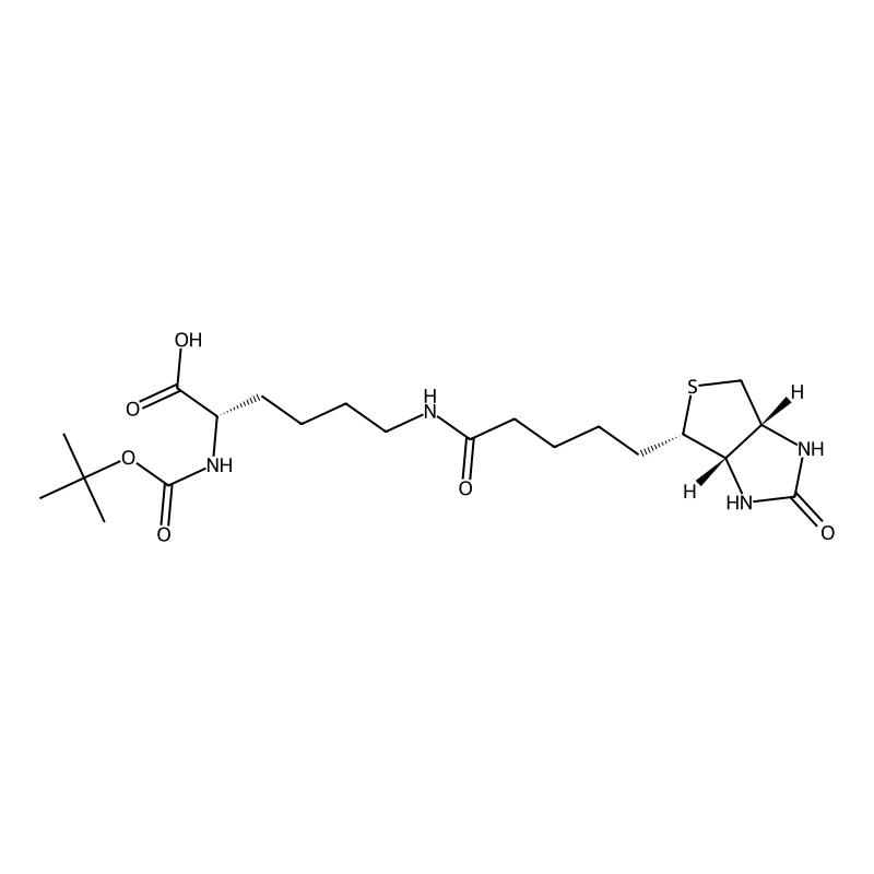 Boc-Biocytin