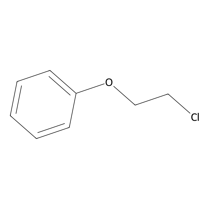 (2-Chloroethoxy)benzene