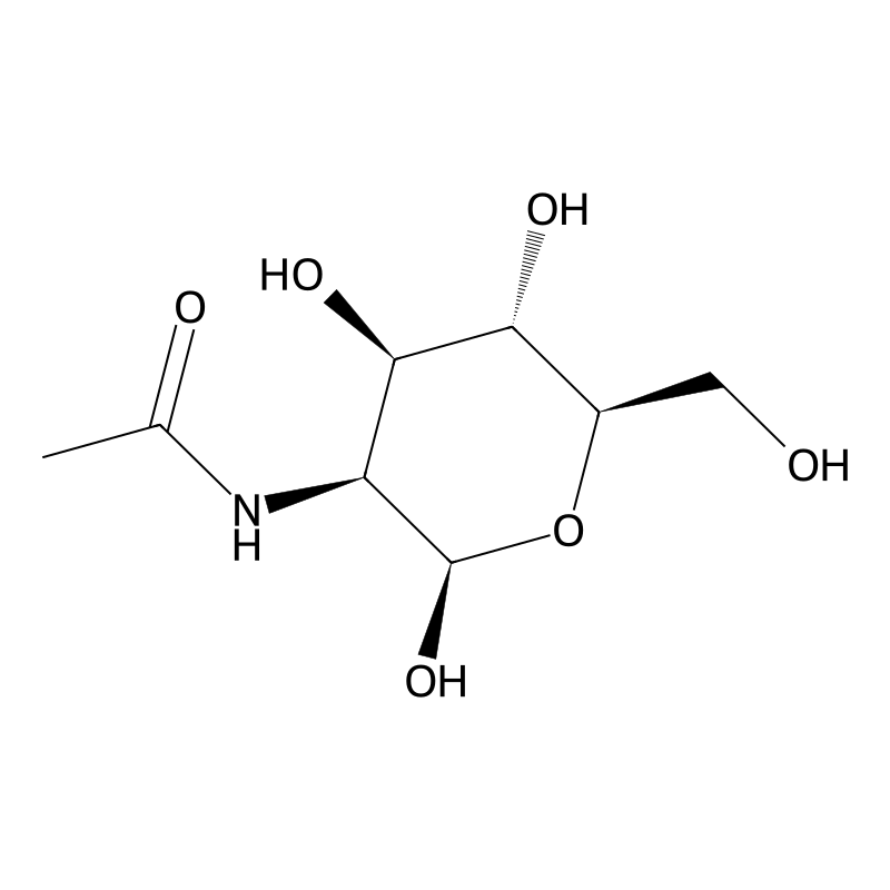 beta-D-N-Acetylmannosamine