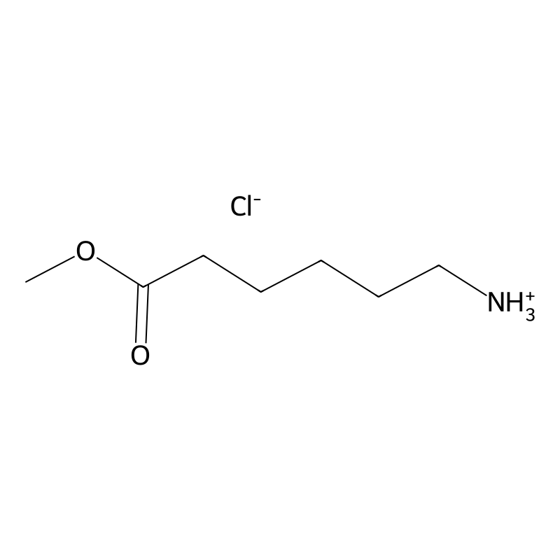 Methyl 6-aminohexanoate hydrochloride