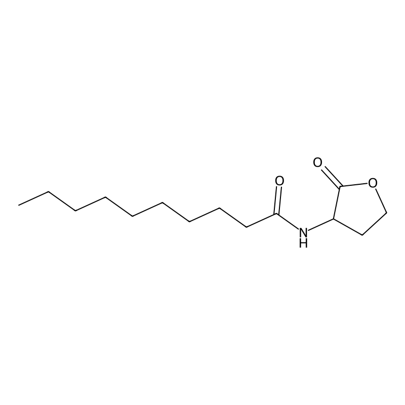 N-Decanoyl-DL-homoserine lactone