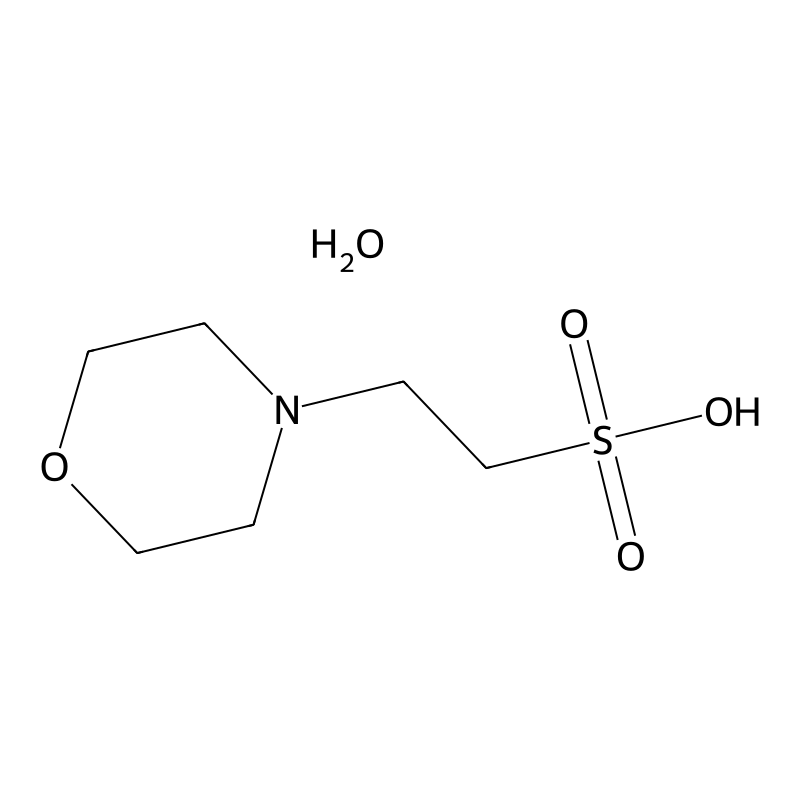 2-Morpholinoethanesulfonic acid hydrate