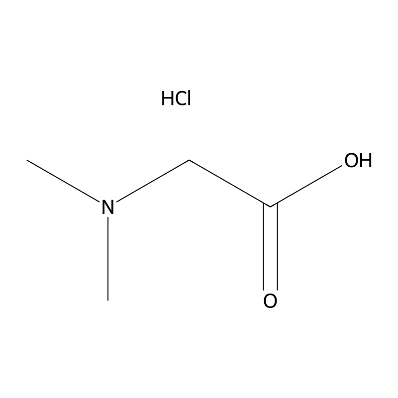 N,N-Dimethylglycine hydrochloride