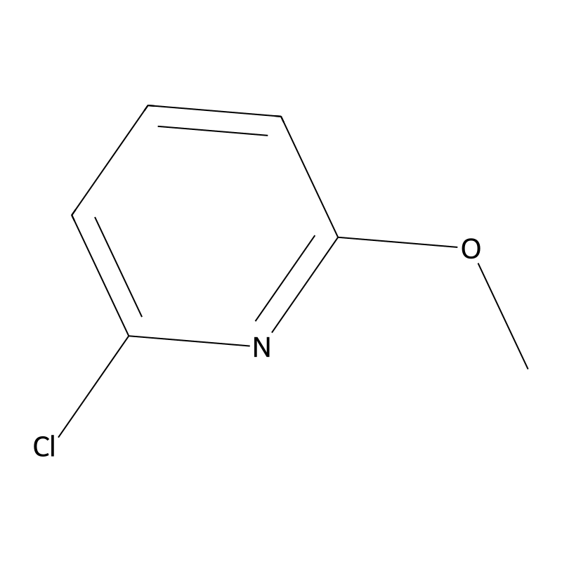 2-Chloro-6-methoxypyridine