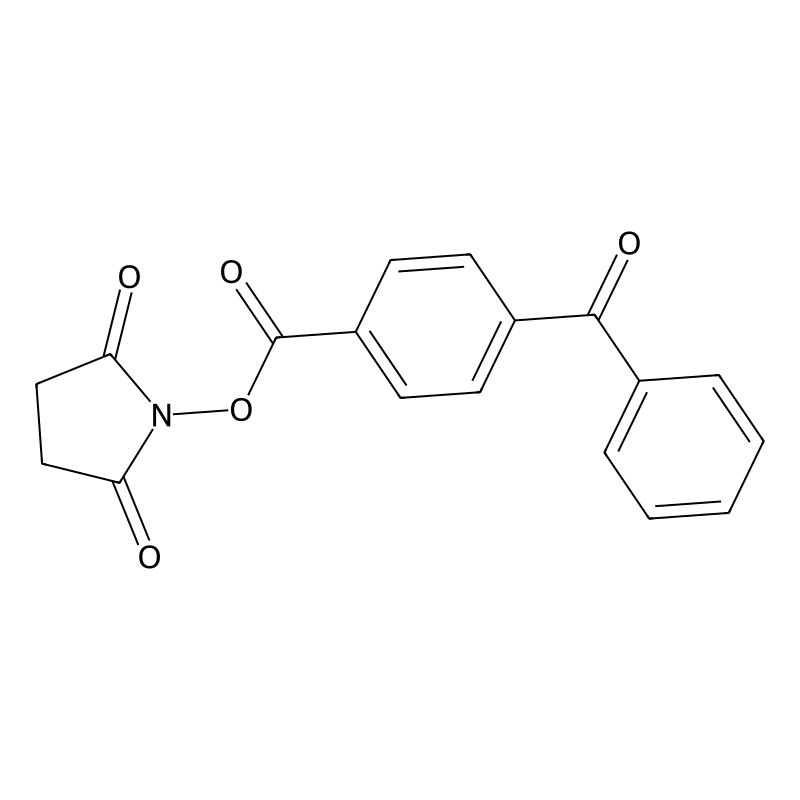 4-Benzoylbenzoic acid succinimidyl ester