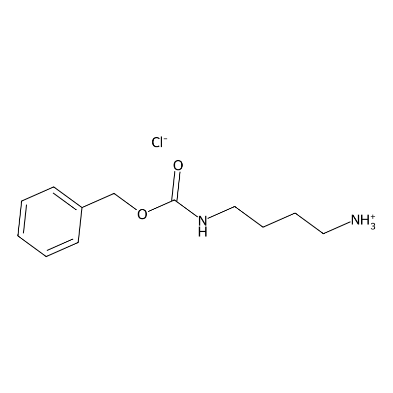 Benzyl N-(4-aminobutyl)carbamate hydrochloride