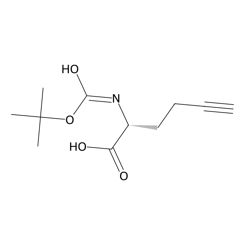 (R)-2-(Boc-amino)-5-hexynoic acid