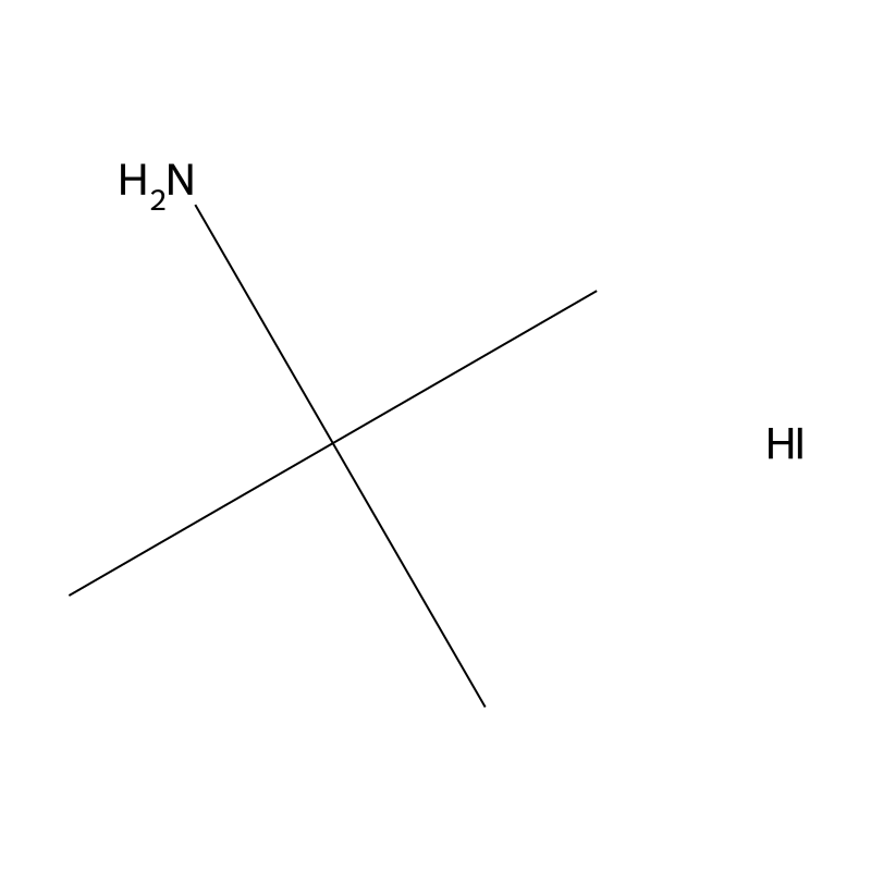 tert-Butylamine Hydroiodide