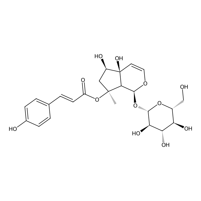 [(4aS,5R,7S)-4a,5-dihydroxy-7-methyl-1-[(2S,3R,4S,5S,6R)-3,4,5-trihydroxy-6-(hydroxymethyl)oxan-2-yl]oxy-1,5,6,7a-tetrahydrocyclopenta[c]pyran-7-yl] (E)-3-(4-hydroxyphenyl)prop-2-enoate