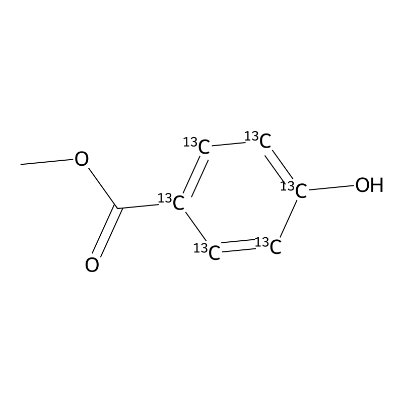 Methyl Paraben-13C6