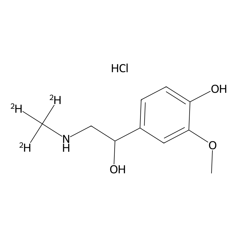 rac Metanephrine-d3 Hydrochloride Salt