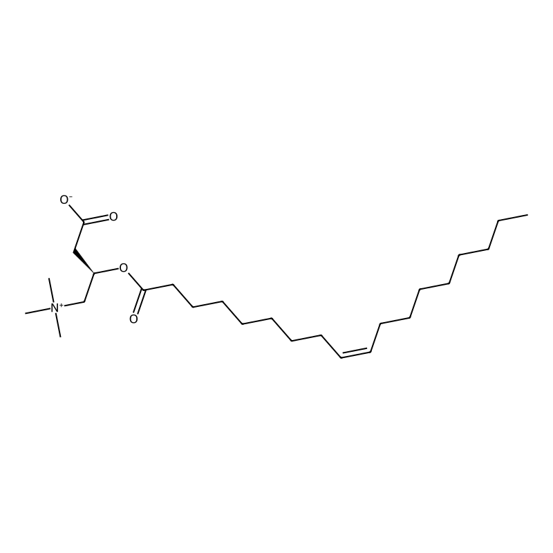 oleoyl-L-carnitine