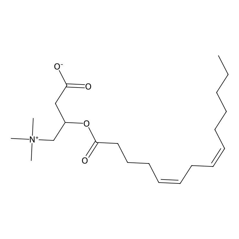 (5Z,8Z)-tetradecadienoylcarnitine