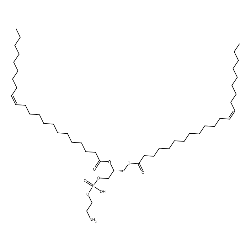 1,2-Dierucoyl-sn-glycero-3-phosphoethanolamine