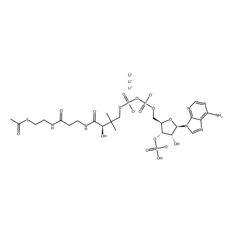 Acetyl coenzyme A lithium salt