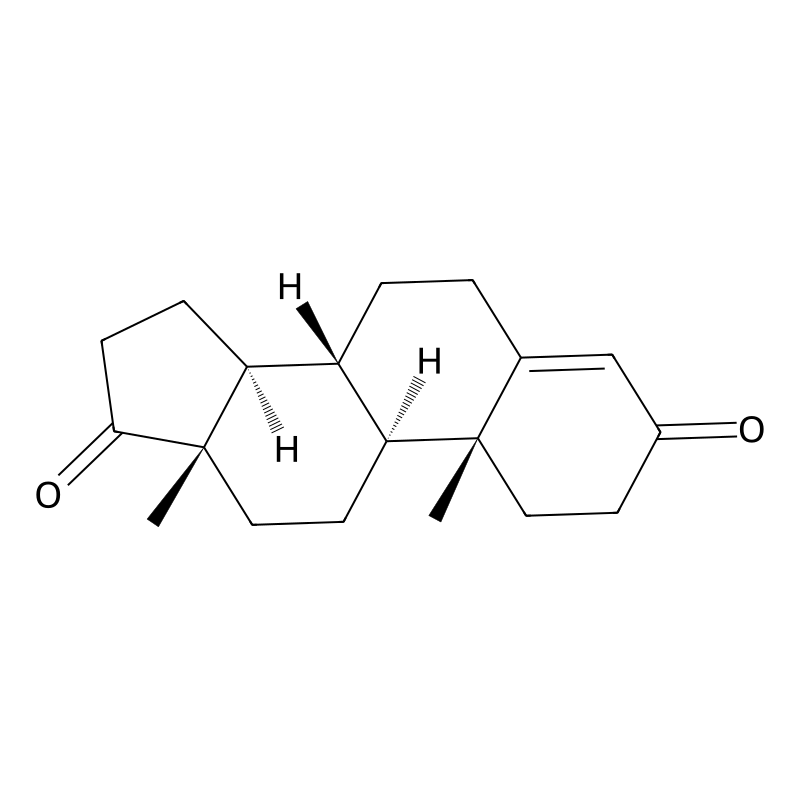 Androstenedione