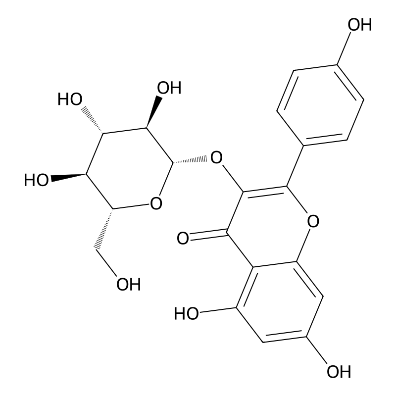 Astragalin