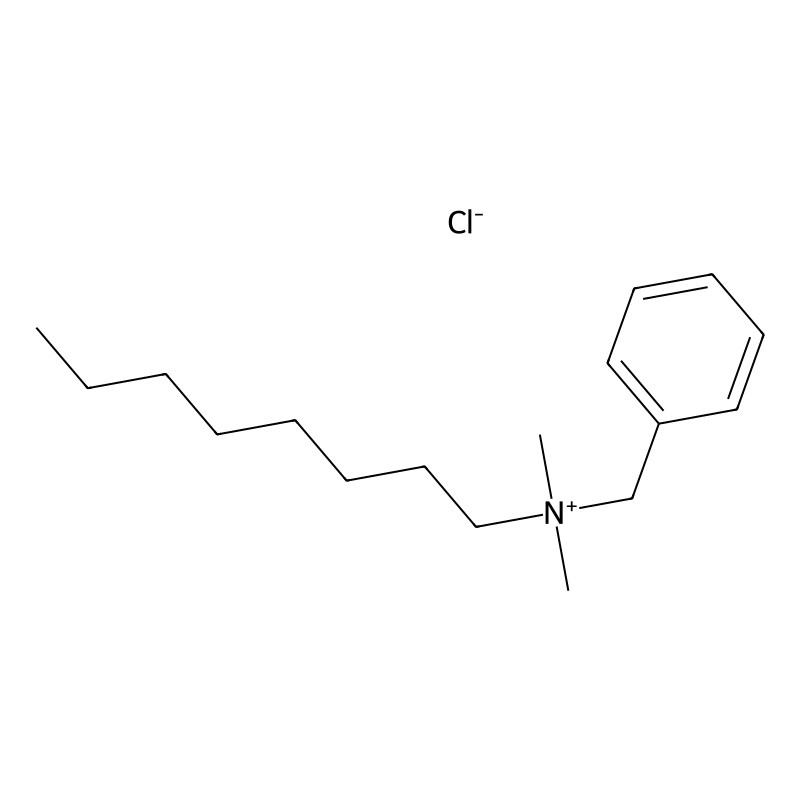 Benzyldimethyloctylammonium chloride