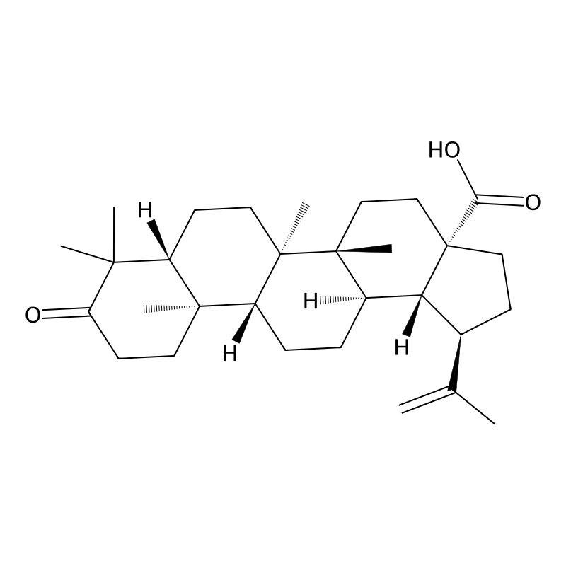 Betulonic acid