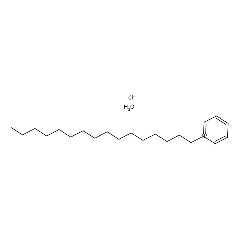 Cetylpyridinium chloride monohydrate