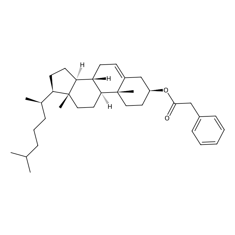 Cholesterol Phenylacetate