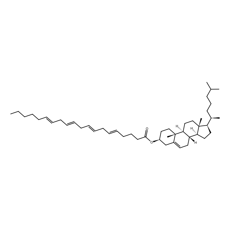 Cholesteryl arachidonate