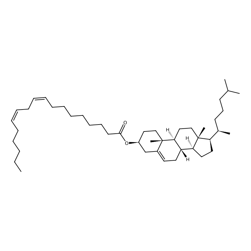 Cholesteryl linoleate