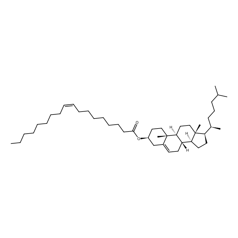 Cholesteryl oleate