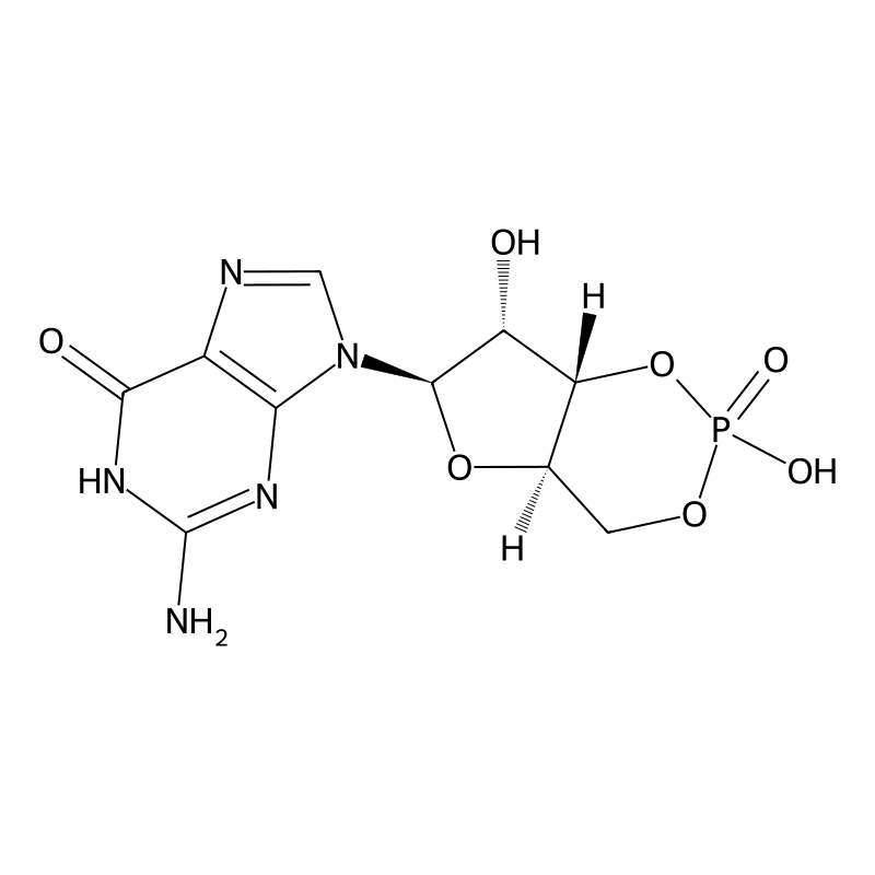 Cyclic guanosine monophosphate