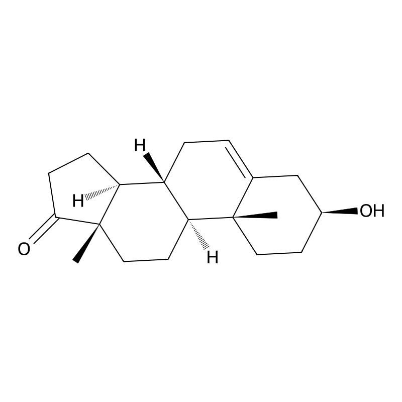 Dehydroepiandrosterone