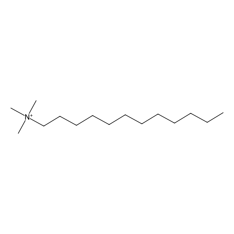 Dodecyltrimethylammonium