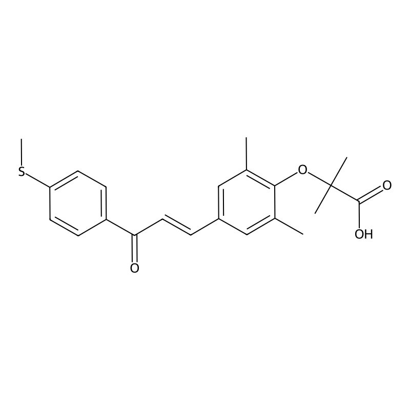 Elafibranor