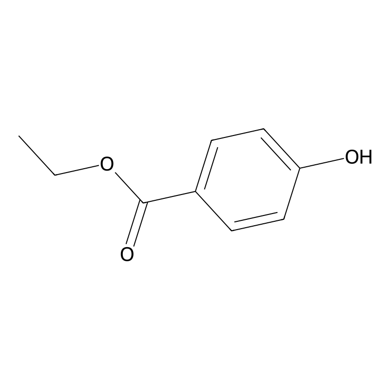 Ethylparaben