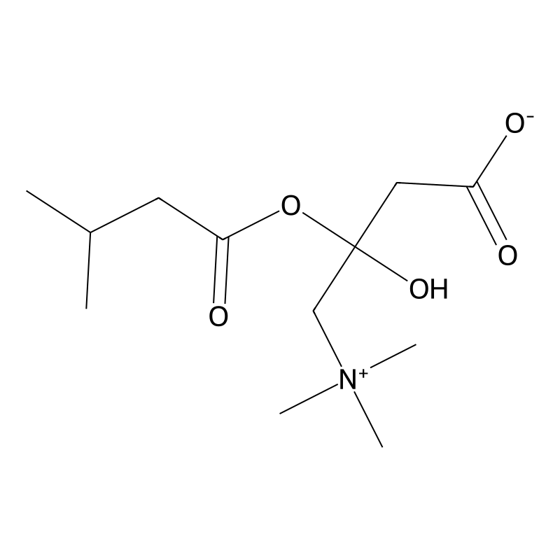 Hydroxyisovaleroyl carnitine