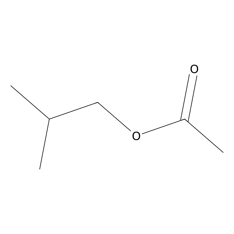 Isobutyl acetate