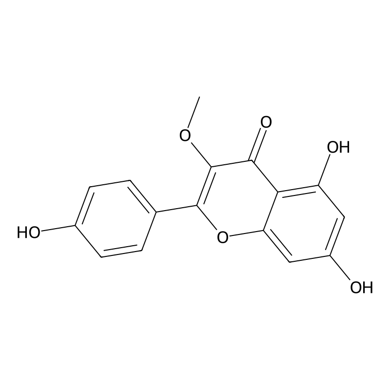 Isokaempferide