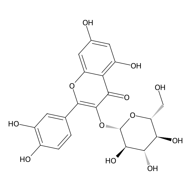 Isoquercetin