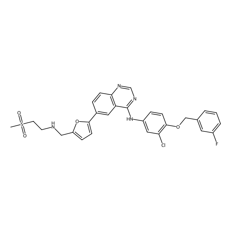 Lapatinib