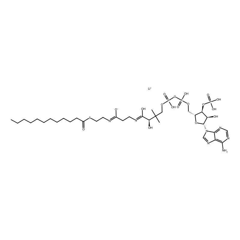 Lauroyl coenzyme A lithium salt