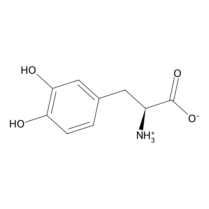 Levodopa