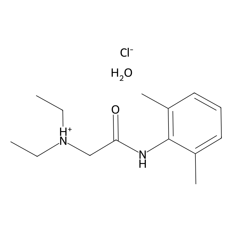 Lidocaine hydrochloride monohydrate