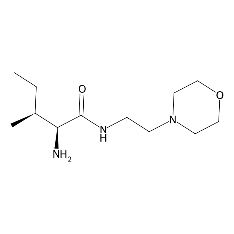 LM11A 31 dihydrochloride