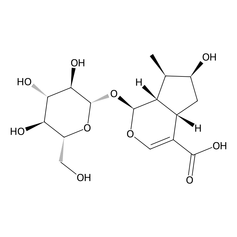 Loganic acid