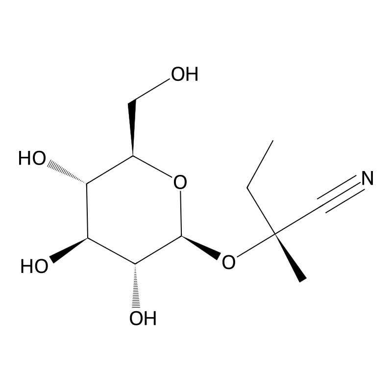 Lotaustralin