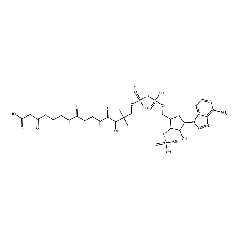 Malonyl coenzyme A lithium salt